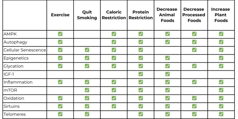 11 Pathways of Aging Table